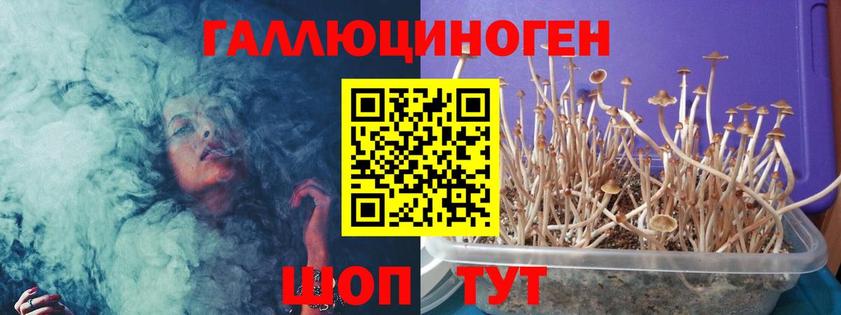 Псилоцибиновые грибы мицелий Магадан
