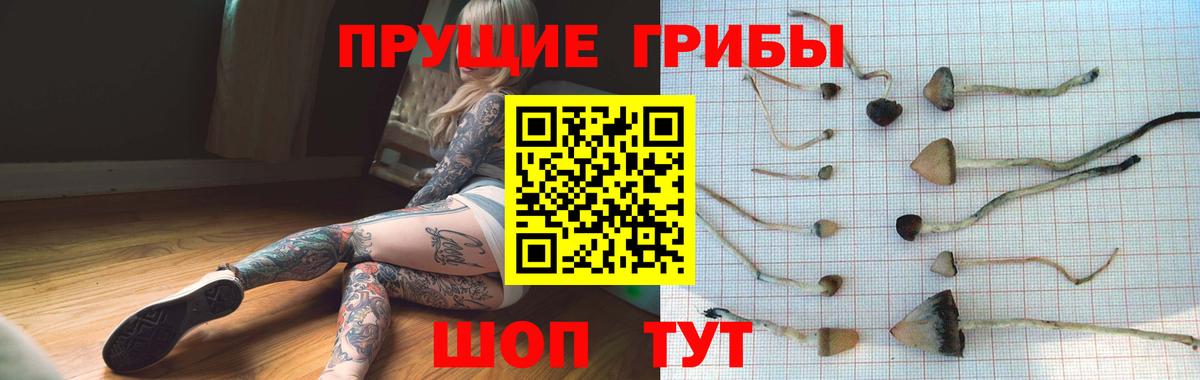 Галлюциногенные грибы Cubensis  Вход с VPN  Магадан 